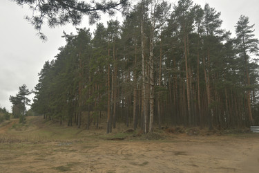 Similar image 21808351