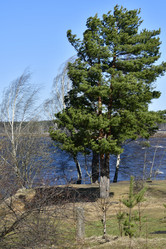 Similar image 21808352