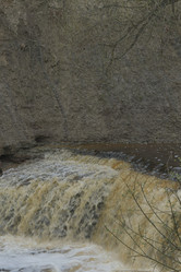 Similar image 21808354