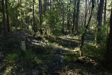 Similar image 21808355