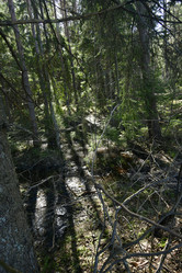 Similar image 21808357