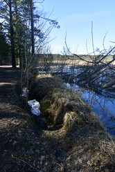 Similar image 21808358