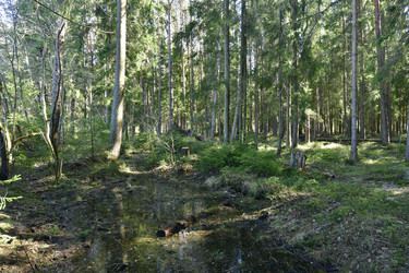 Similar image 21808359