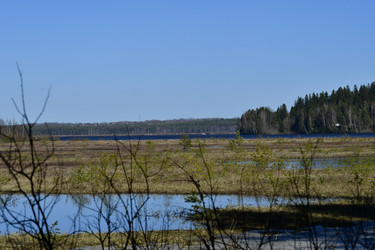 Similar image 21808360