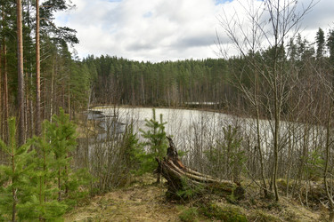 Similar image 21808361