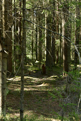 Similar image 21808362