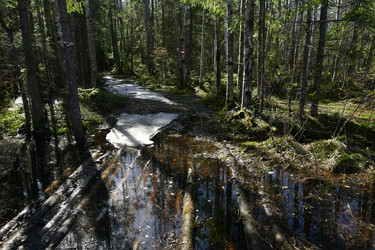 Similar image 21808363