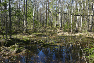 Similar image 21808364