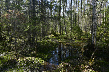 Similar image 21808365