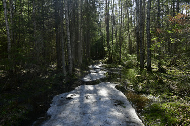 Similar image 21808366