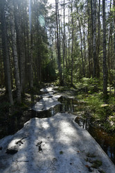 Similar image 21808367