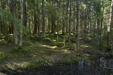 Similar image 21808368