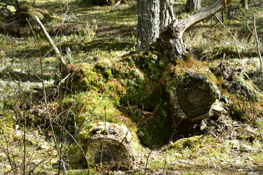 Similar image 21808369