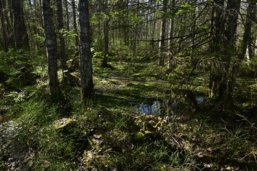 Similar image 21808370