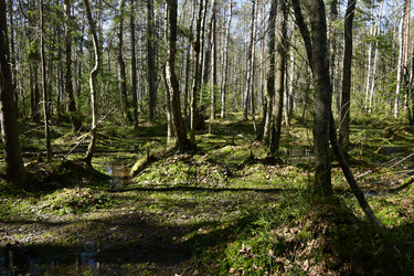 Similar image 21808371