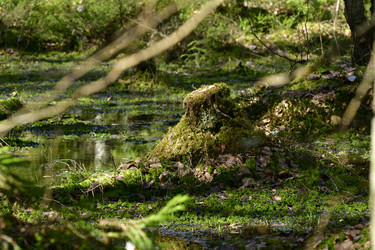 Similar image 21808372