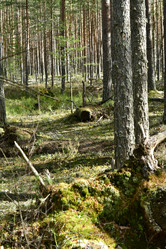 Similar image 21808373