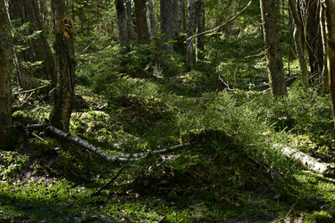 Similar image 21808375