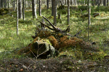 Similar image 21808376