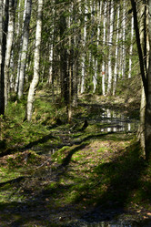 Similar image 21808377