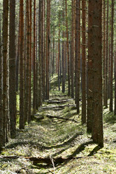 Similar image 21808378