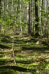 Similar image 21808380