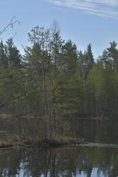 Similar image 21808381