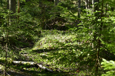 Similar image 21808382