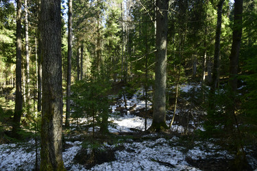 Similar image 21808383