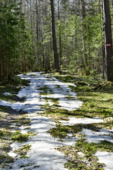 Similar image 21808384