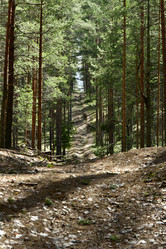 Similar image 21808385