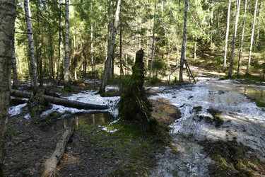 Similar image 21808386