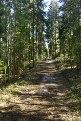 Similar image 21808388