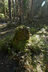 Similar image 21808390