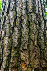 Similar image 21808018