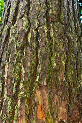 Similar image 21808021