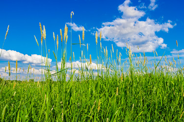 Similar image 21808023