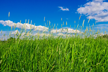 Similar image 21808024