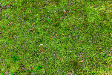 Similar image 21808026