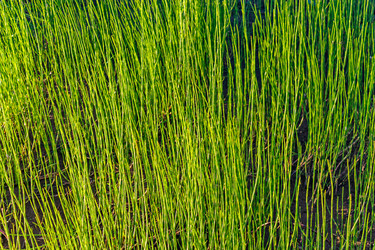 Similar image 21808031