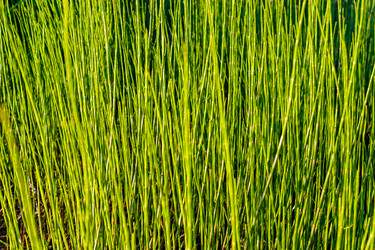 Similar image 21808032