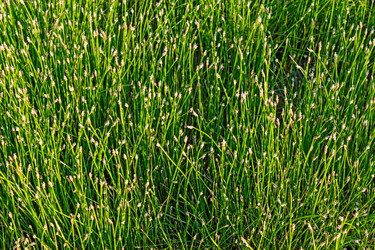 Similar image 21808033