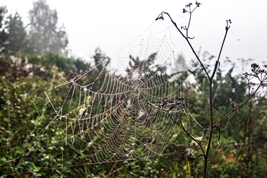 Similar image 21808034