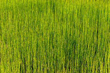 Similar image 21808035