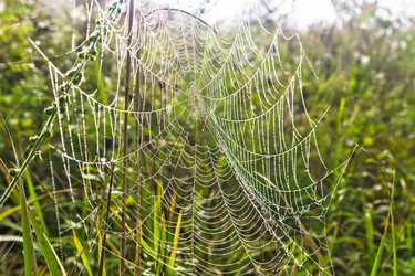 Similar image 21808036