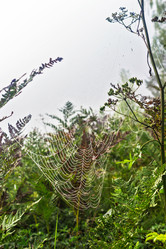 Similar image 21808037