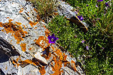 Similar image 21808038