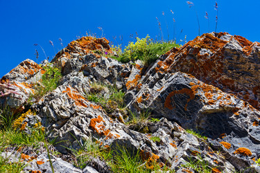 Similar image 21808039