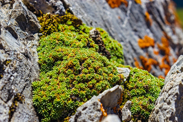 Similar image 21808040