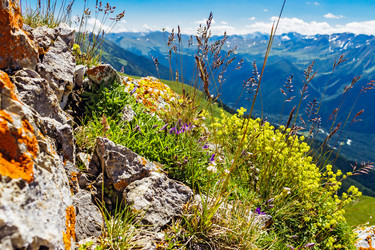 Similar image 21808041